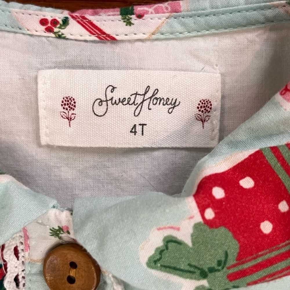 SweetHoney Mint Gift Print Long Sleeve Dress Girls 4T - Picture 4 of 4
